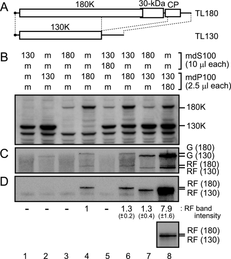 FIG. 5.