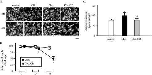 Fig. 2