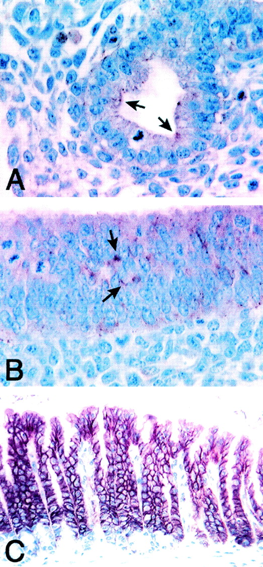 FIG. 8