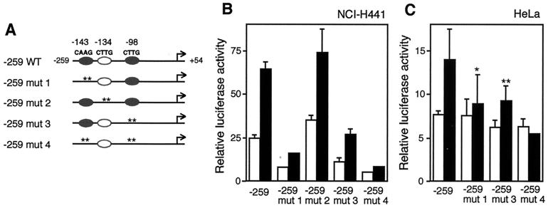 FIG. 6