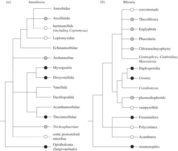 Figure 2.