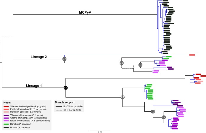 FIG 1