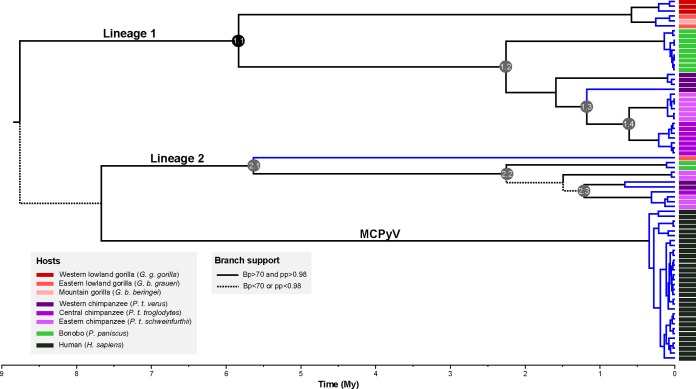 FIG 2