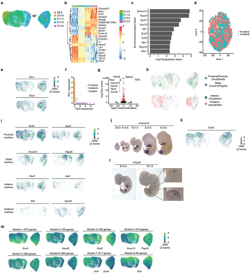 Extended Data Fig. 7.