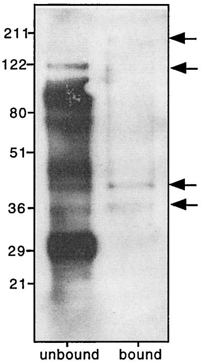 FIG. 7