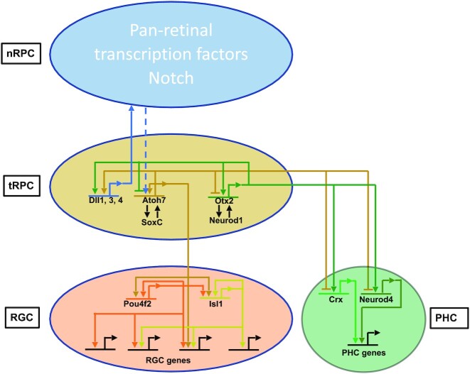 Figure 10.