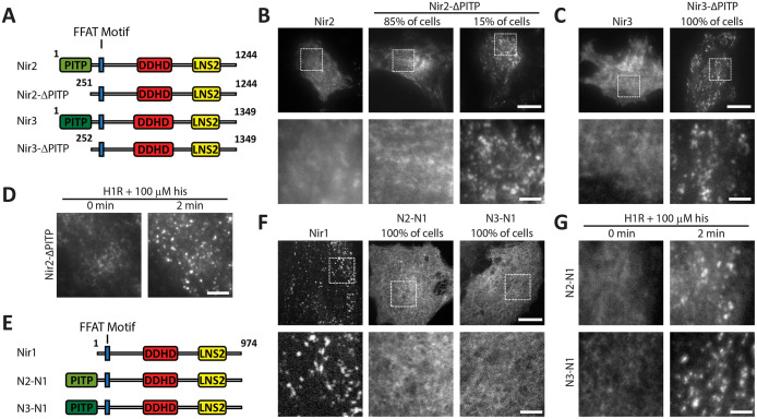 FIGURE 3: