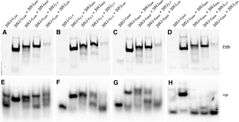 FIGURE 4.