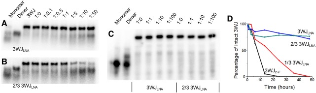 FIGURE 5.