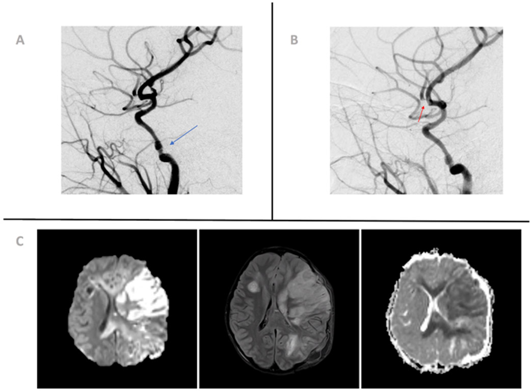 Figure 2: