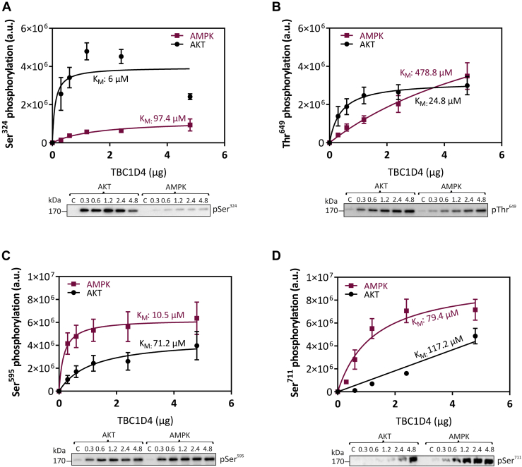 Figure 3