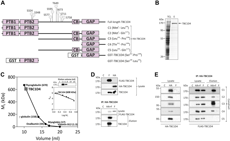 Figure 1