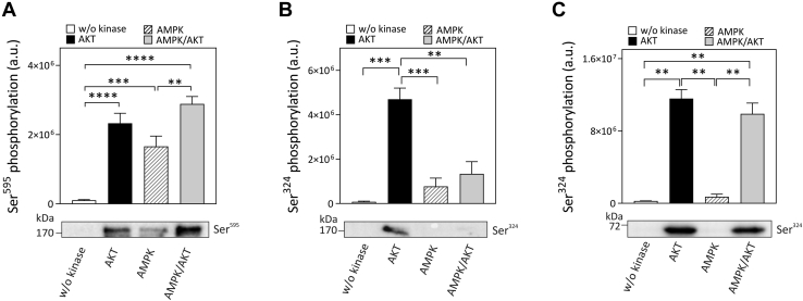 Figure 6