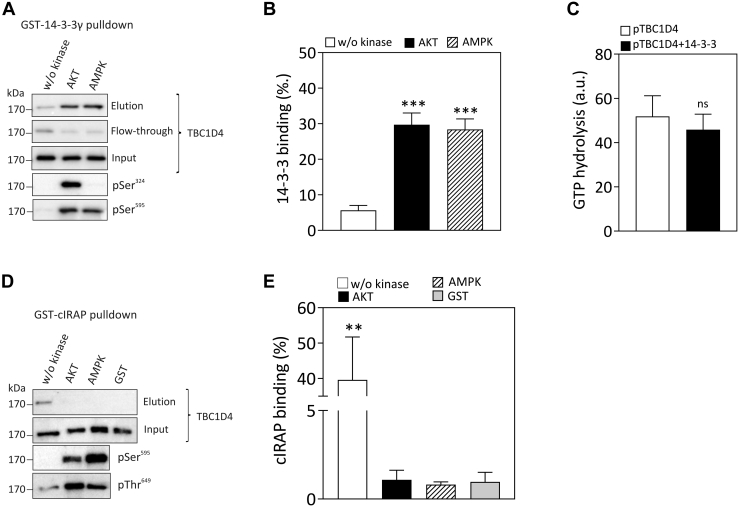 Figure 5