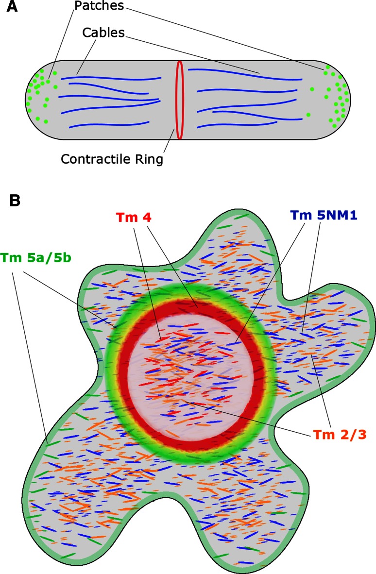 Fig. 2