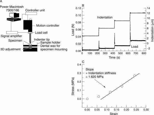 Figure 1  