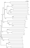 Fig. 6.