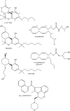 Fig. 1.