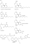 Fig. 5.