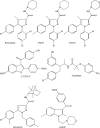 Fig. 3.