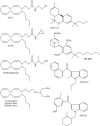 Fig. 2.