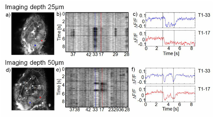 Fig. 3.