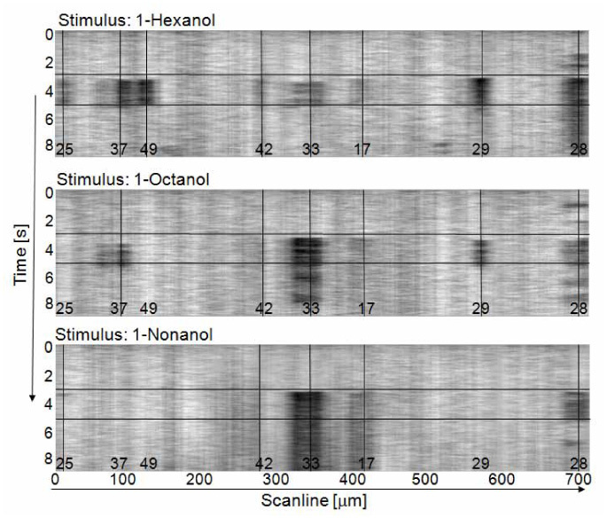 Fig. 2.