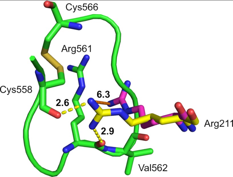 FIGURE 4.