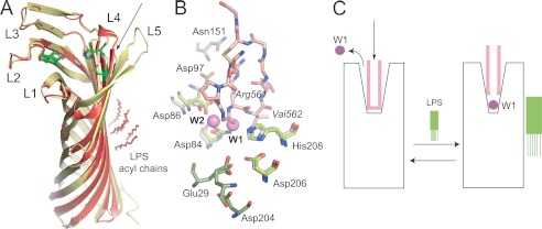 FIGURE 3.