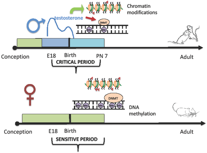 Figure 1: