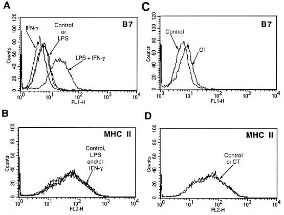 FIG. 7