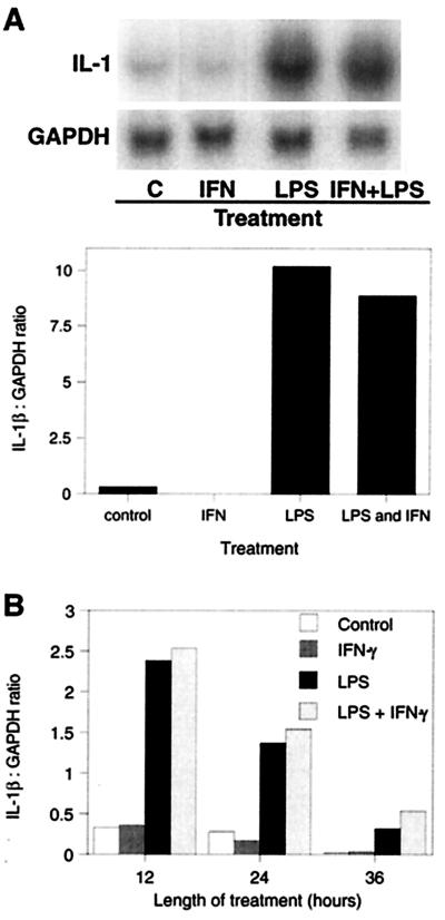 FIG. 1