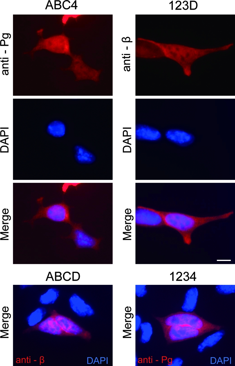 FIG. 8.