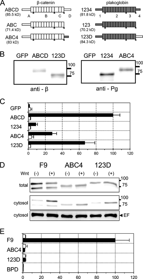 FIG. 7.