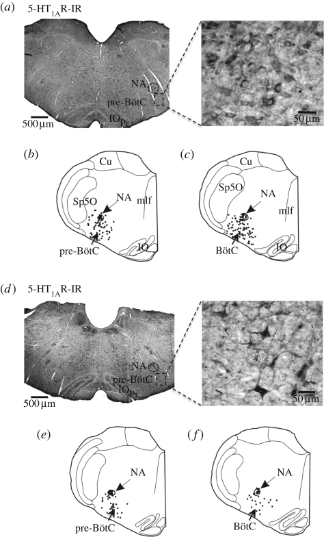 Figure 5.