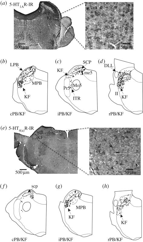 Figure 6.