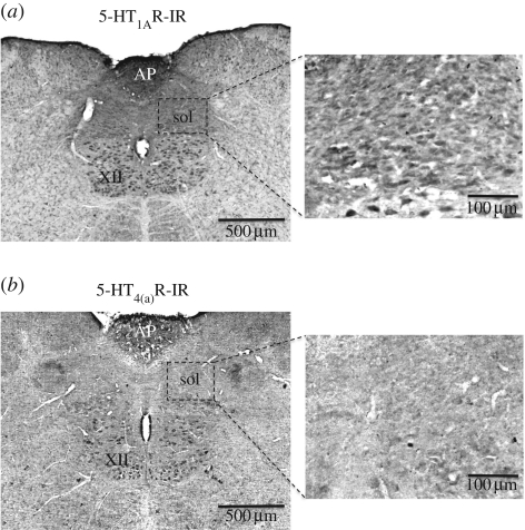 Figure 4.