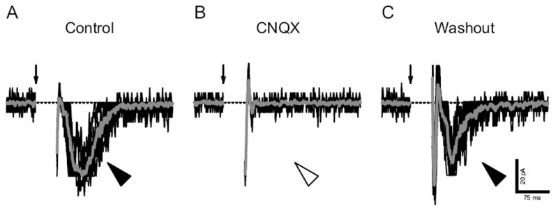 Fig. 6