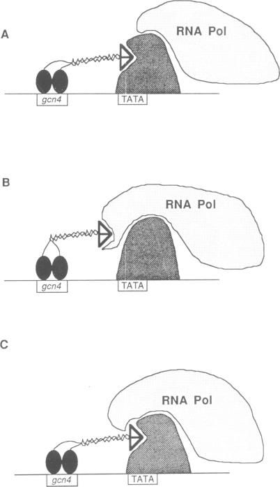 graphic file with name emboj00125-0267-a.jpg