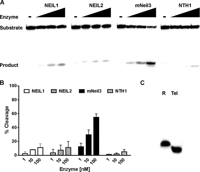 FIGURE 2.