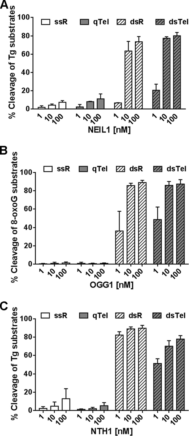 FIGURE 4.