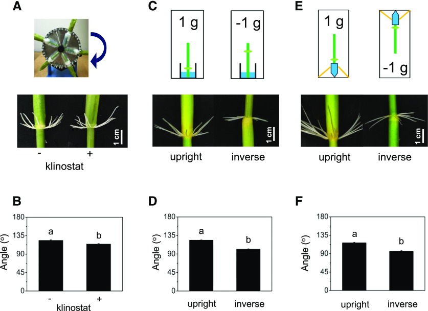 Figure 10.