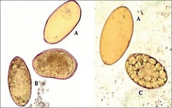 Figure-3