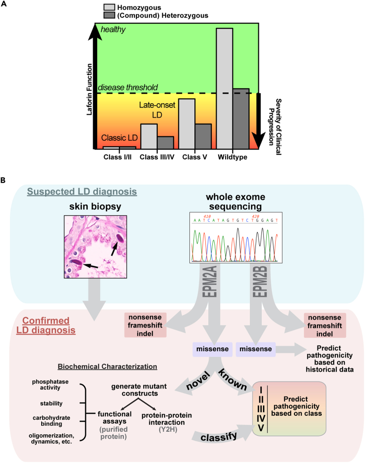 Figure 6