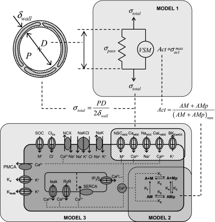 Fig. 1.