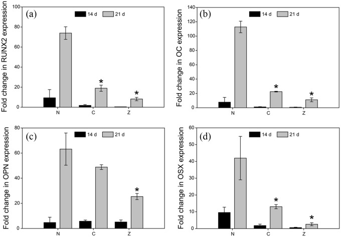 Figure 6.