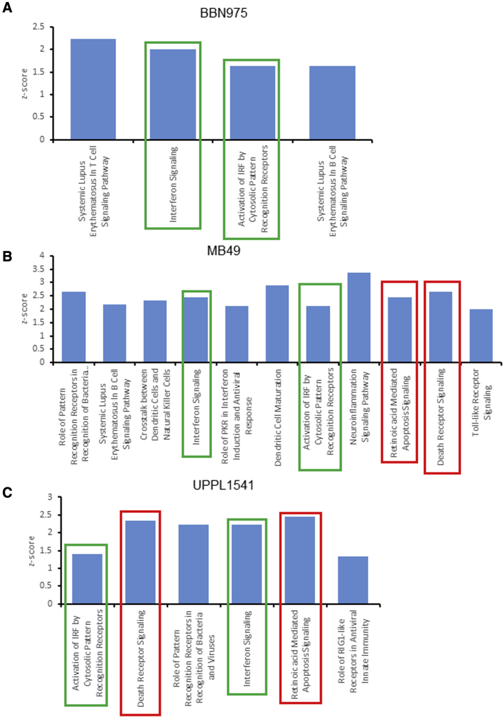 Figure 4