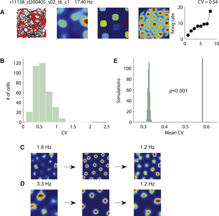 Figure 1