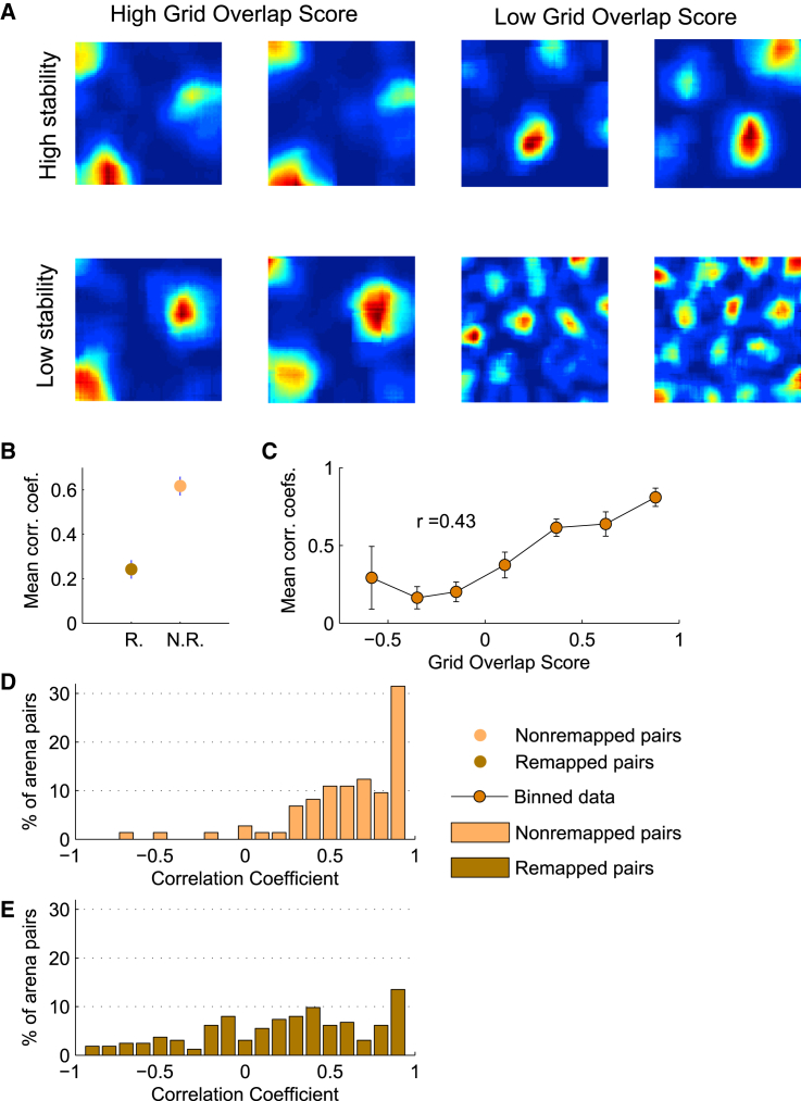 Figure 4