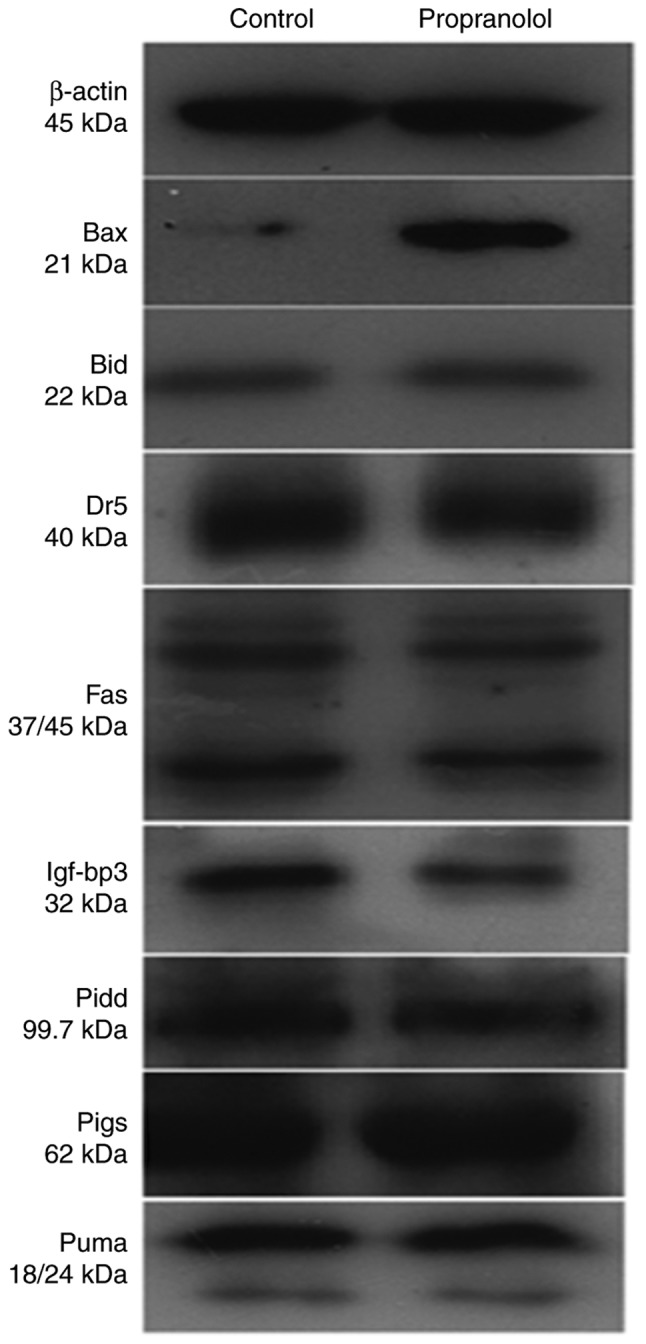 Figure 10.